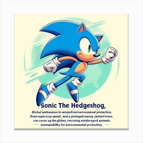 Sonic The Hedgehog 30 Canvas Print