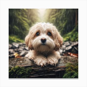 Dog In The Rain 1 Canvas Print