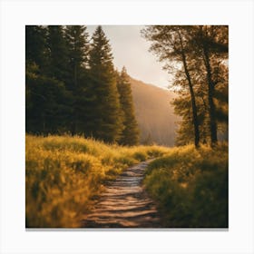 Path In The Woods 4 Canvas Print