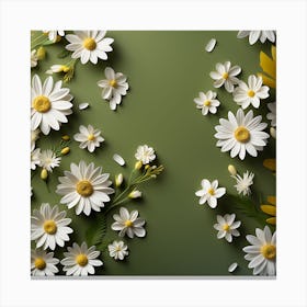 White Daisy Flowers On Green Background Canvas Print