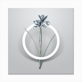 Vintage Spanish Iris Minimalist Botanical Geometric Circle on Soft Gray Canvas Print