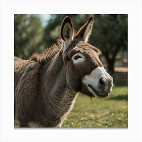 Donkey Laughing Canvas Print