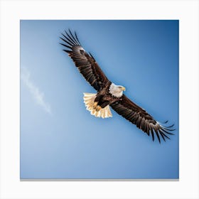 A Stunning Shot Of A Majestic Eagle Soaring Through The Sky With Its Wings Fully Spread And Sharp Ey 4162562470 Canvas Print