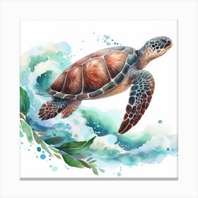 Turtle 2 Canvas Print