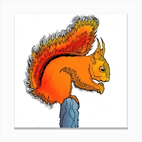 Red Squirrel Canvas Print