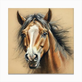 Horse Portrait 8 Canvas Print