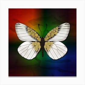 Mechanical Butterfly The Aporia Crataegi On A Colorful Background Canvas Print