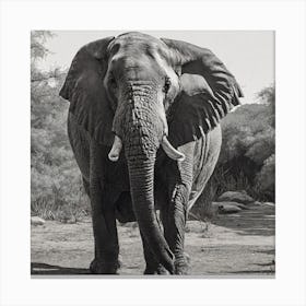 Zoo Animal Line 0 Canvas Print