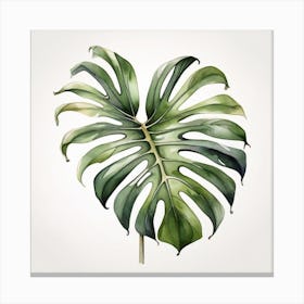 Large Monstera leaf 10 Canvas Print