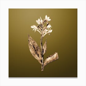Gold Botanical Water Canna on Dune Yellow n.3733 Canvas Print
