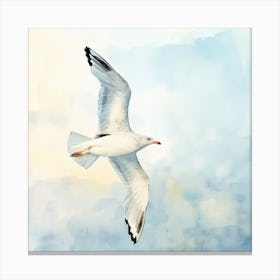 Free in the Sky Canvas Print