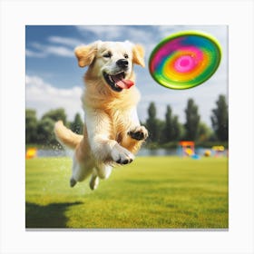 Golden Retriever Dog Jumping For Frisbee Canvas Print