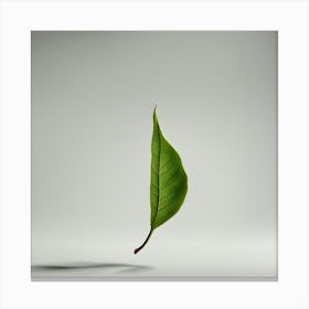 Tea Leaves Art 7 Canvas Print