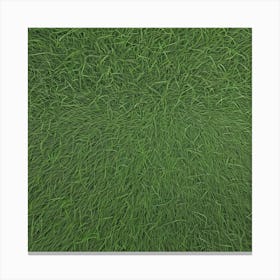 Green Grass Background 8 Canvas Print