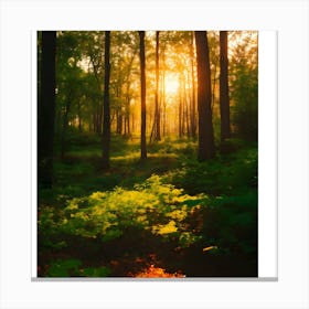 Sunrise In The Forest 3 Canvas Print