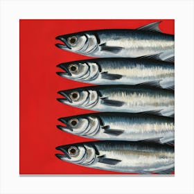 Sardines 2 Canvas Print