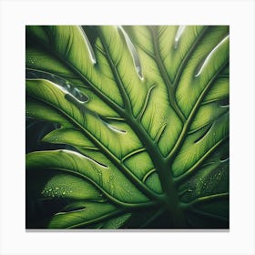 Large Monstera leaf 3 Canvas Print