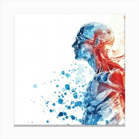 Human Anatomy Illustration Canvas Print