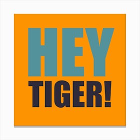 Hey Tiger Orange And Blue Square Canvas Print