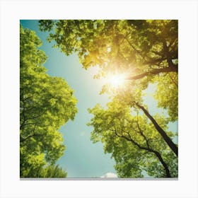 Sun Shining Through Trees Canvas Print