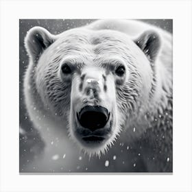 Polar Bear Portrait, Monochrome no. 2 Canvas Print