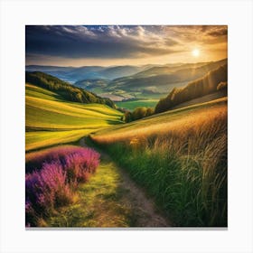 Sunset In The Countryside 39 Canvas Print