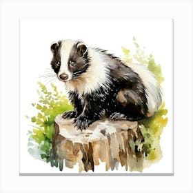 Badger Canvas Print