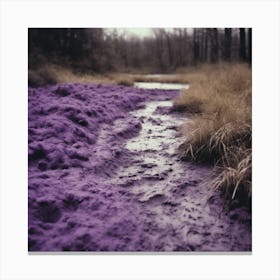 Purple Mud Canvas Print