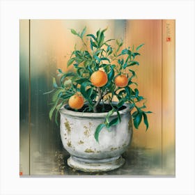 Oranges In A Pot 12 Canvas Print