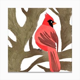 Red Cardinal Canvas Print