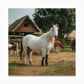 White Horse In A Field 1 Canvas Print