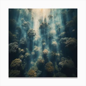 Underwater Forest Canvas Print