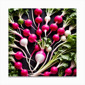 Radishes 21 Canvas Print