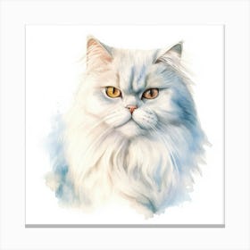 Colorpoint Shorthair Persian Cat Portrait 3 Canvas Print