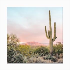 Desert Sunset 1 Square Canvas Print