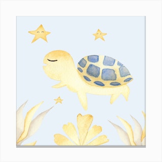 Cute Turtle Square Canvas Print