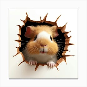 Guinea Pig 9 Canvas Print