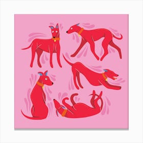 Colourful Sighthounds Pink Cmyk Canvas Print
