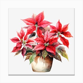 Poinsettia Watercolor Painting Canvas Print