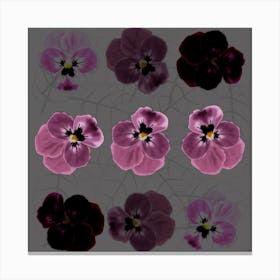 9 Pink Viola Flowers On A Gray Background Canvas Print