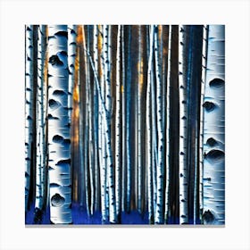 Birch Trees In The Forest 1 Canvas Print