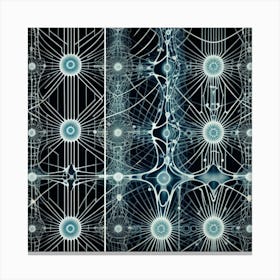 Fractals Canvas Print