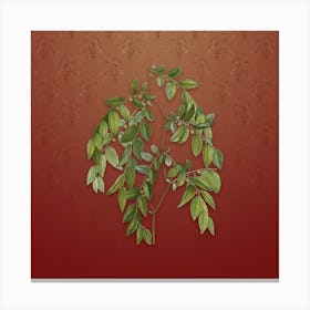Vintage Jujube Botanical on Falu Red Pattern n.2108 Canvas Print