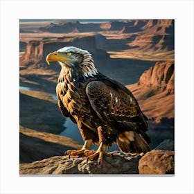 Eagle Canvas Print