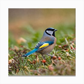 Blue Tit 78 Canvas Print