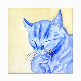 Blue Cat Licking His Paw Watercolor Painting Canvas Print