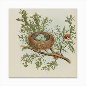 Nest 5 Canvas Print