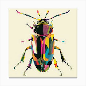 Beetle 16 Canvas Print