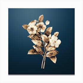 Gold Botanical Periwinkle on Dusk Blue n.0020 Canvas Print