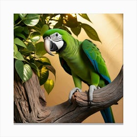 Parrot Perched On A Branch 1 Canvas Print